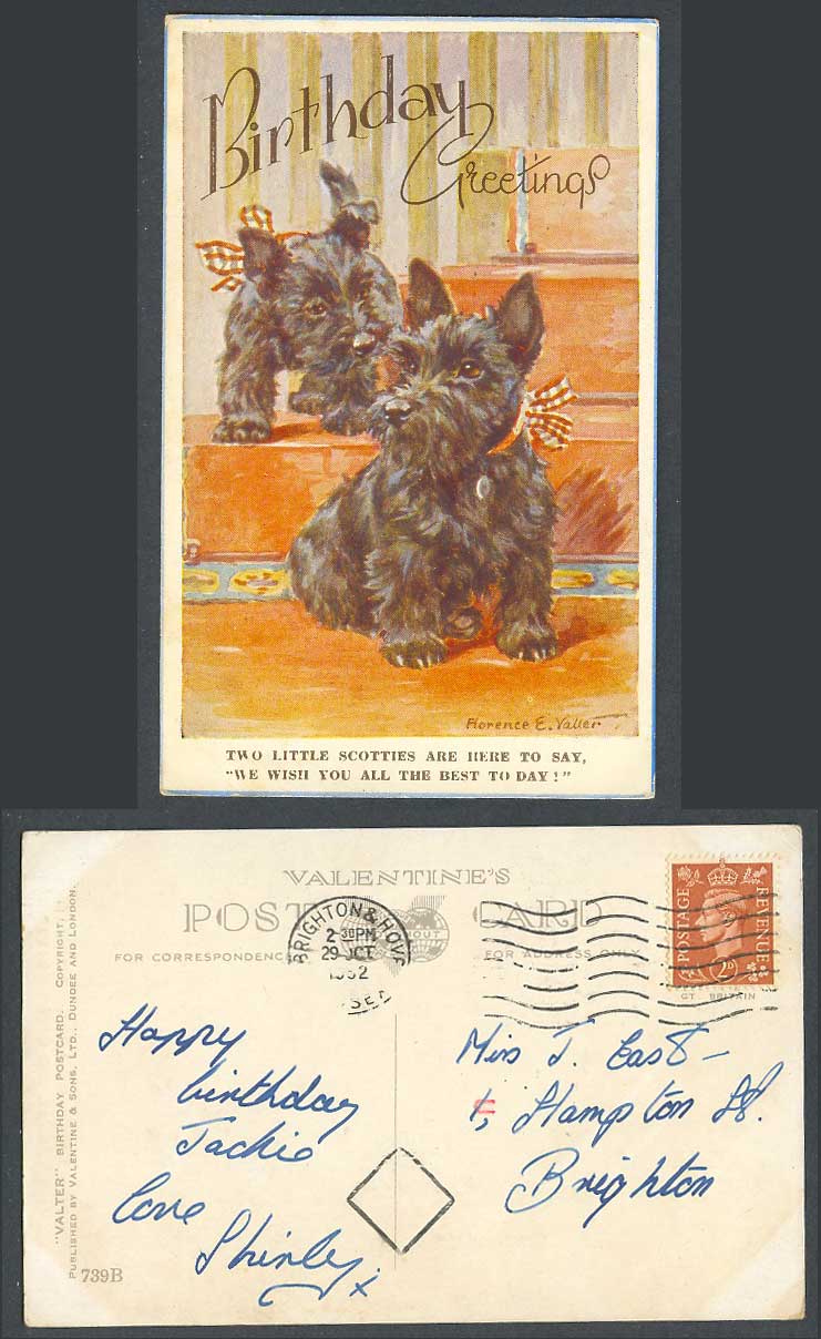 Florence E Valter 1952 Old Postcard Scottish Terrier Scottie Dogs Scotties Puppy