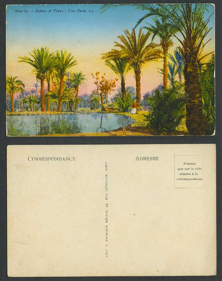 N. Africa Old Colour Postcard Une Oasis Scenes et Types Palm Trees Lake L.L.6642