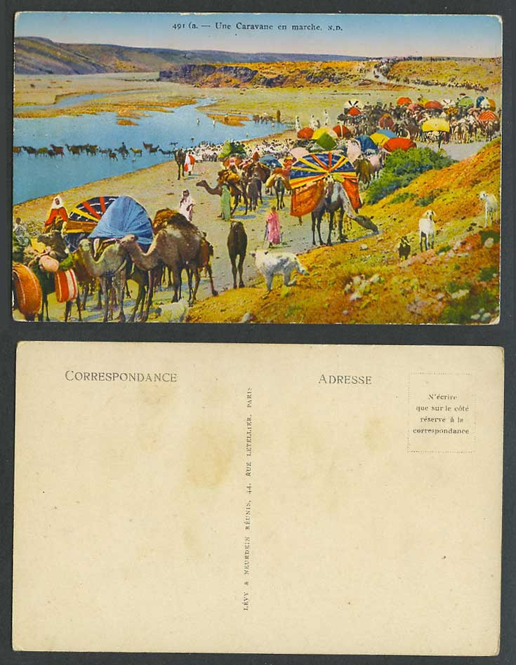 Algeria Old Postcard Caravane en marche Caid Ben Ganah Camels Caravan Sheep Dogs