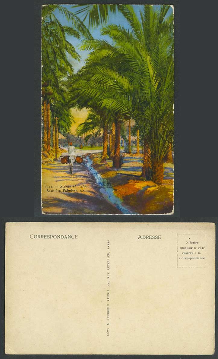North Africa Old Colour Postcard Sous les Palmiers Oasis Donkey Rider Palm Trees