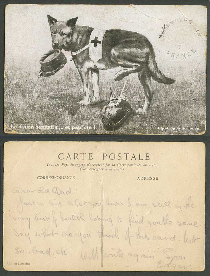 WW1 RED CROSS Medical DOG Peeing on German Soldier's Hat, Patriotic Old Postcard