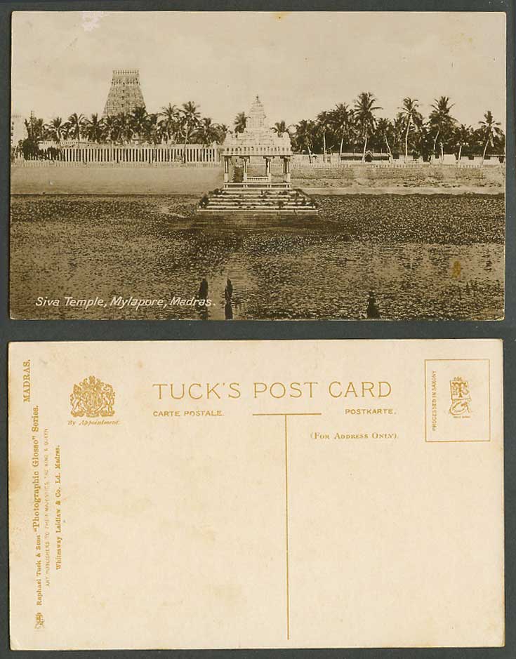 India Old Tuck's Postcard Madras Siva Temple Mylapore, Pavilion Pagoda and Palms