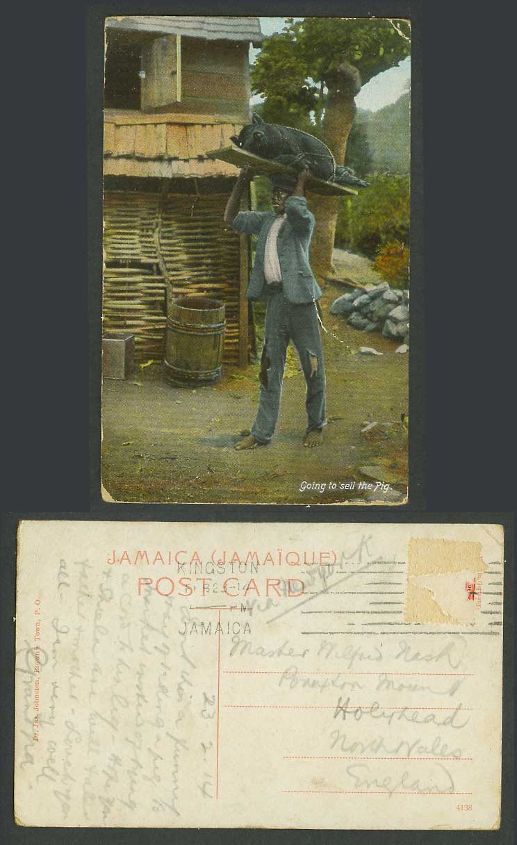 Jamaica 1914 Old Colour Postcard Native Man Going to Sell The Pig, Seller Vendor