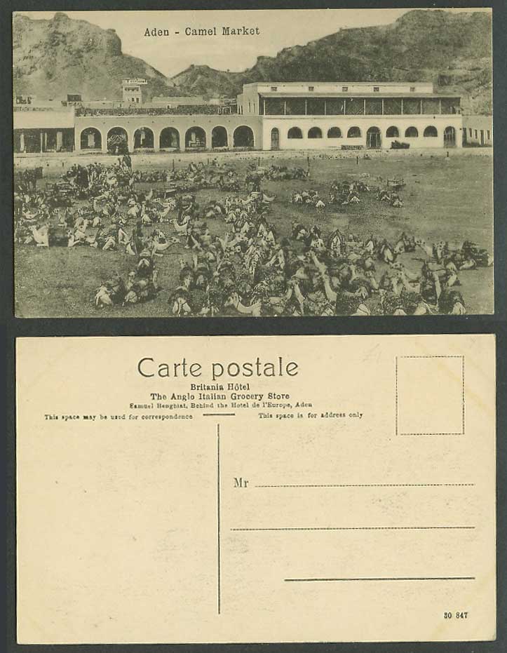 Aden, Camel Market Camels Animals Yemen Old Postcard Middle East, Britania Hotel