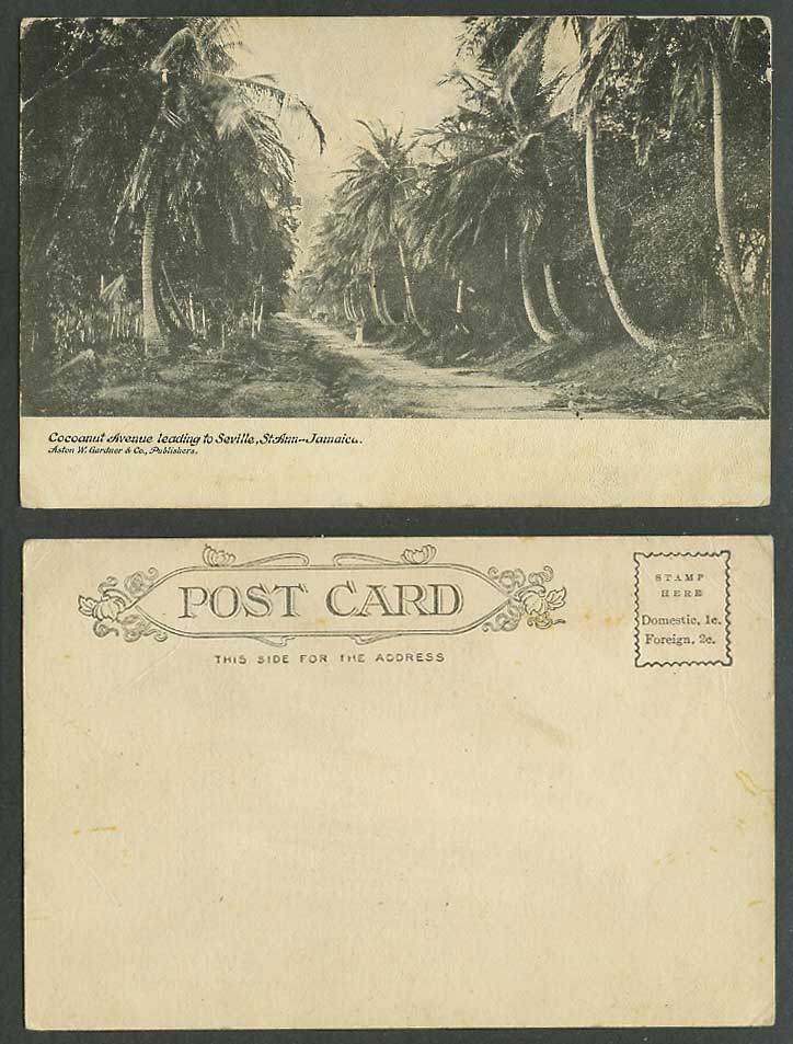 Jamaica Old UB Postcard Cocoanut Avenue leading to Seville St. Ann-Jamaica Palms