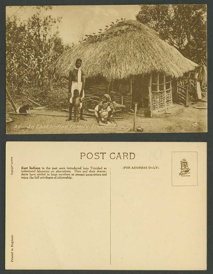 Trinidad BWI Old Postcard Indian Family at Home, Native House Hut Woman Boy Goat
