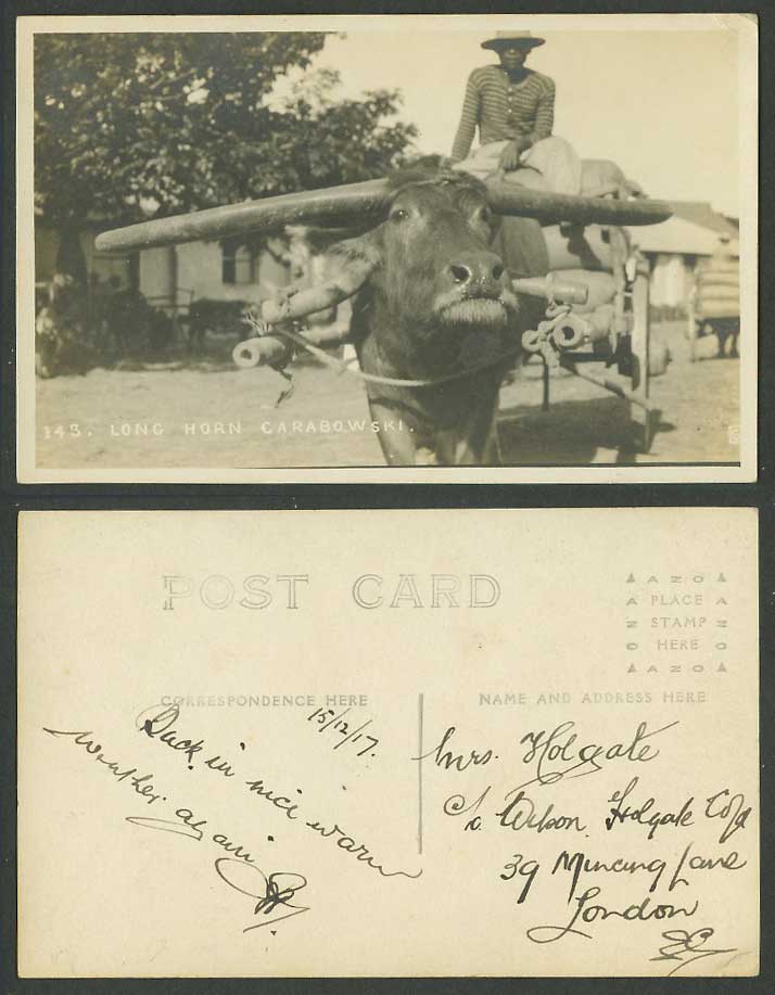 Long Horn Carabowski Carabao Water Buffalo Philippines 1917 Old R Photo Postcard