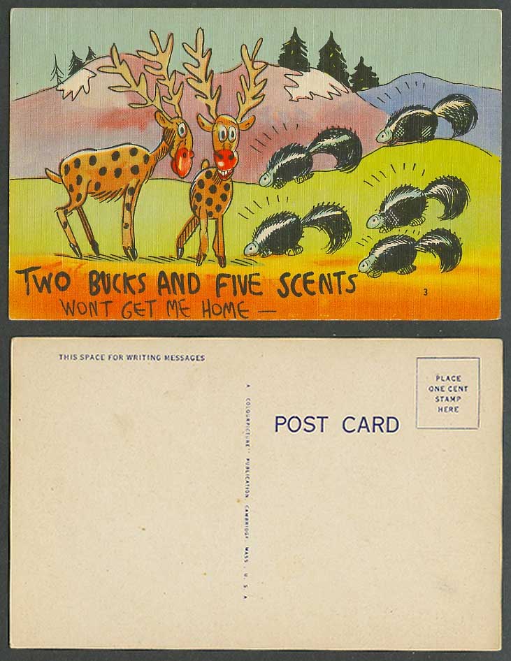 Stag Deer Skunk, Two Bucks and Five Scents Won't Get Me Home, Comic Old Postcard