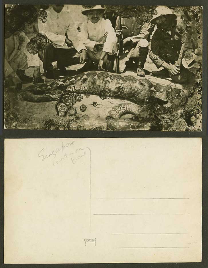 Singapore Deer in Stomach of Python SNAKE Hunters & Guns Old Real Photo Postcard