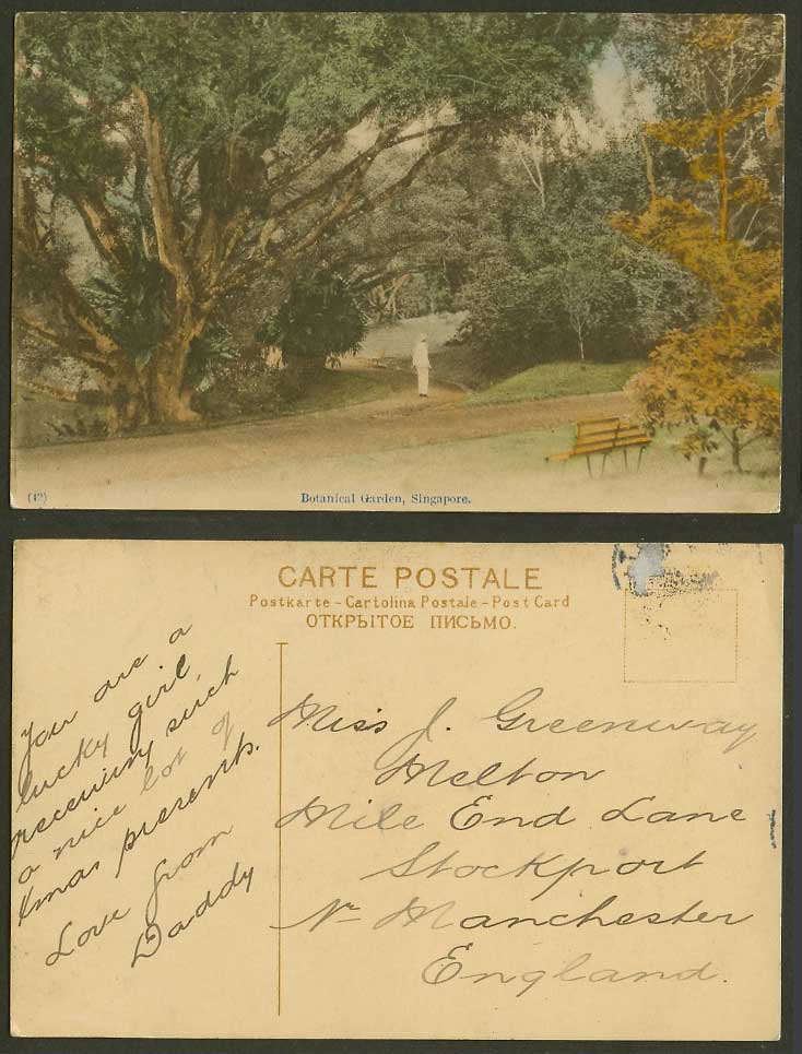 Singapore Old Hand Tinted Postcard Botanical Garden Man Bench Botanic Gardens 49