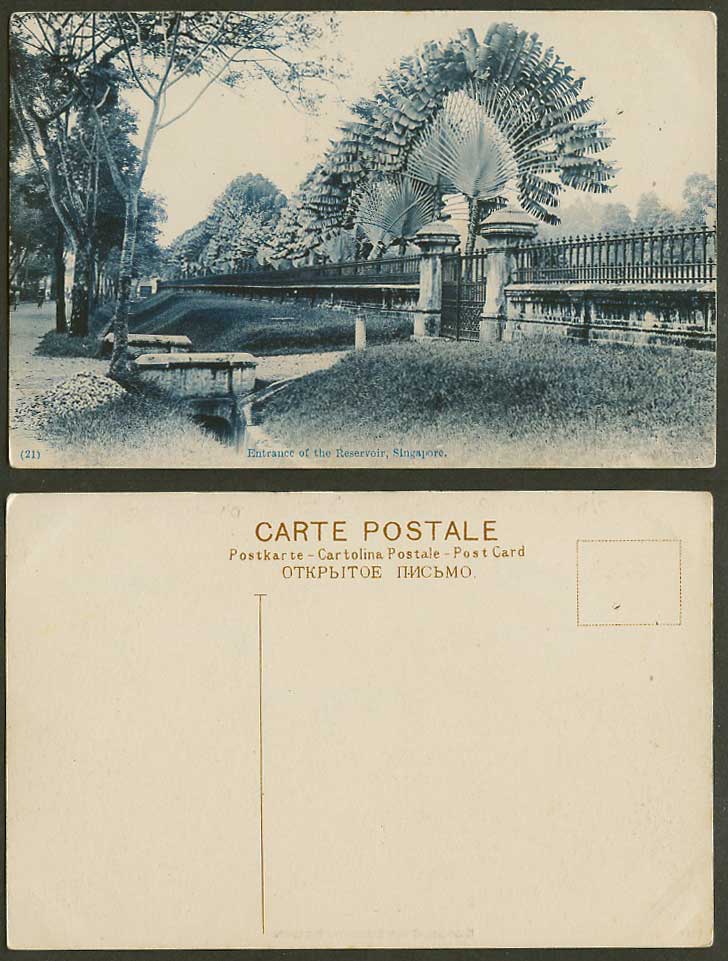 Singapore Old Postcard Entrance of The Reservoir Gate, Traveller's Palm Trees 21