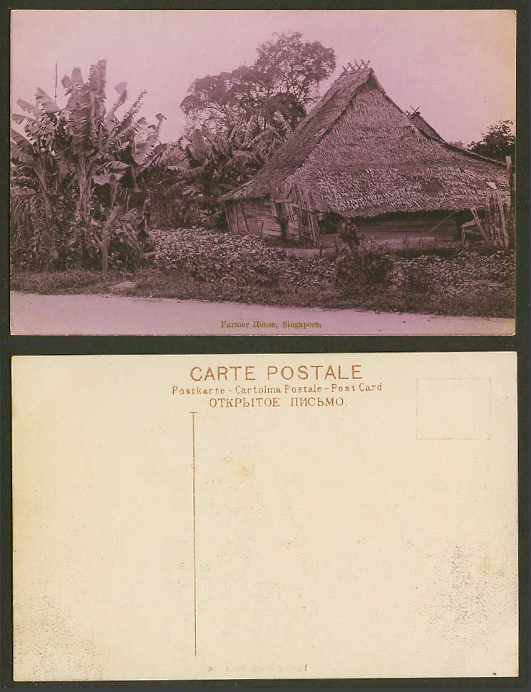 Singapore Old Postcard Farmer House, Native Malay Hut by Roadside, Trees, Malaya