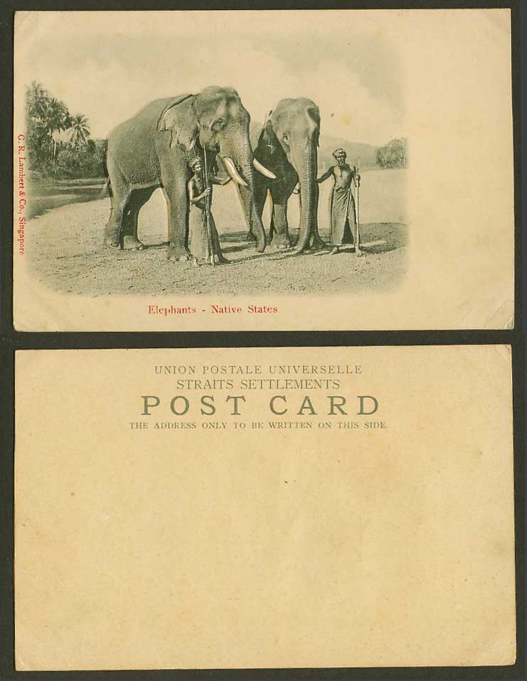 Singapore Old Embossed UB Postcard Elephants Native States Elephant and Trainers