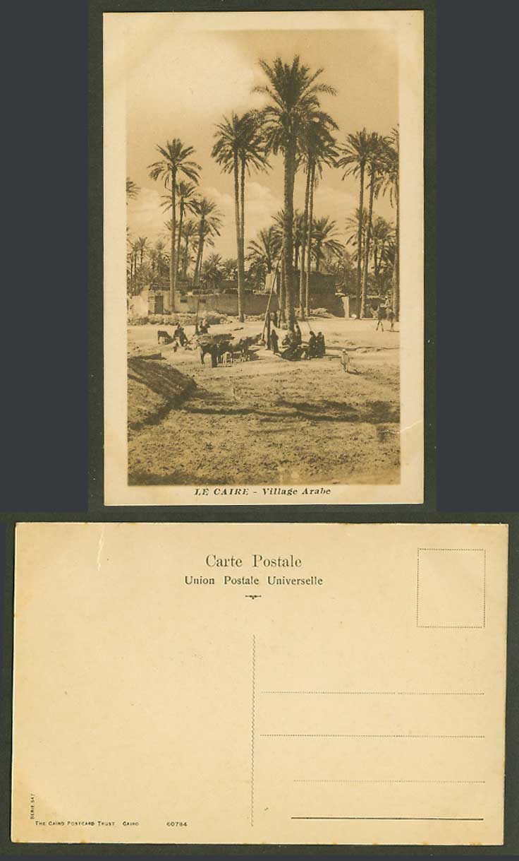 Egypt Old Postcard Cairo Arab Village Scene, Le Caire Village Arabe, Palm Trees
