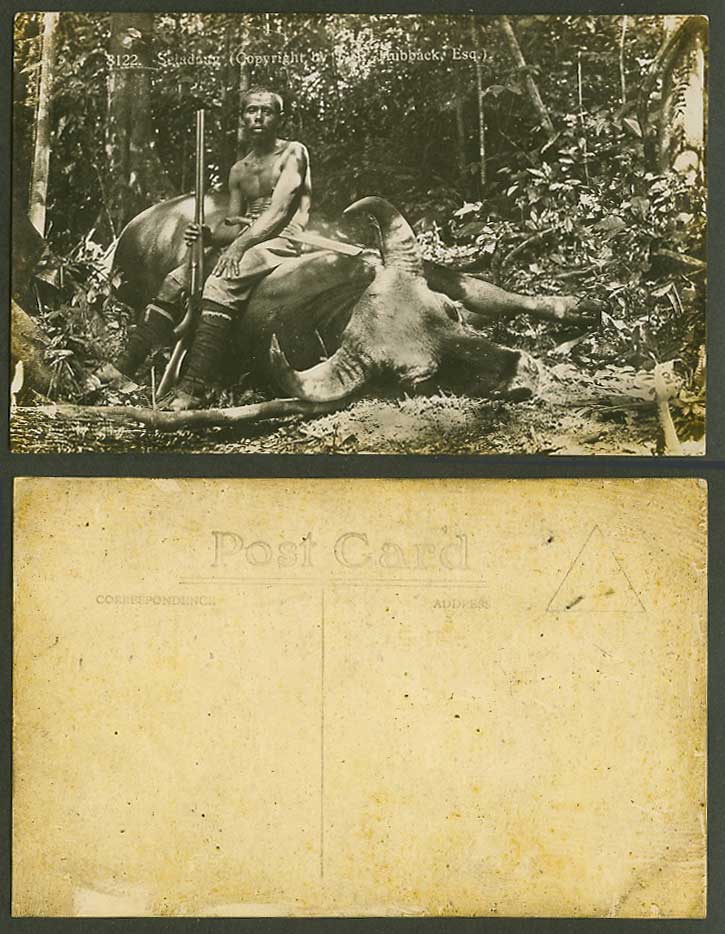 Malaya Hunter Hunting Gun Seladang Gaur Old Real Photo Postcard T.R. Hubback Esq