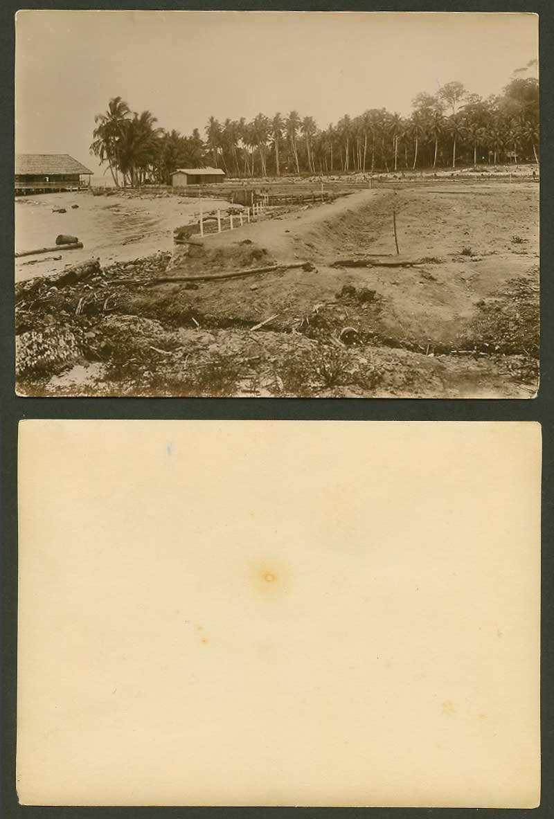 Singapore Old Real Photo, Palm Trees, Malay House on Stilts, Clearing the Ground