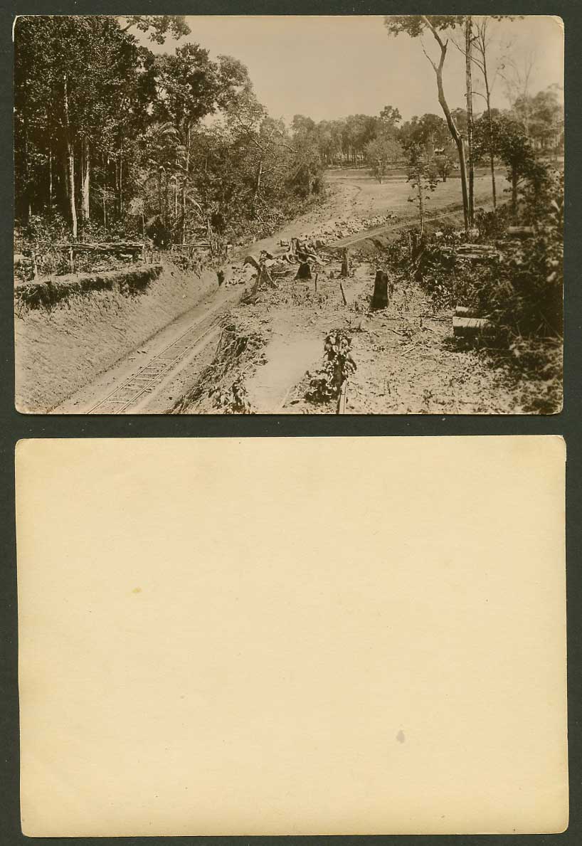 Singapore Old Real Photo Railroad Railway Rail Trees, Straits Settlements Malaya