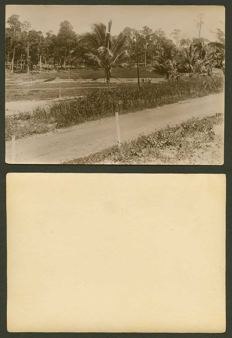 Singapore Old Real Photo, Changi, Road Street Scene, Palm Trees. 11.1cm x 15.3cm