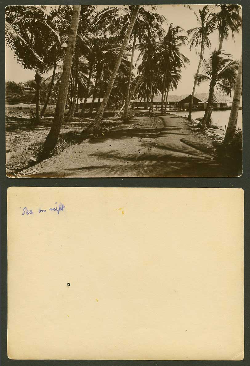 Singapore Old Real Photo, Changi, Palm Trees, Native Houses Sea on Right Seaside