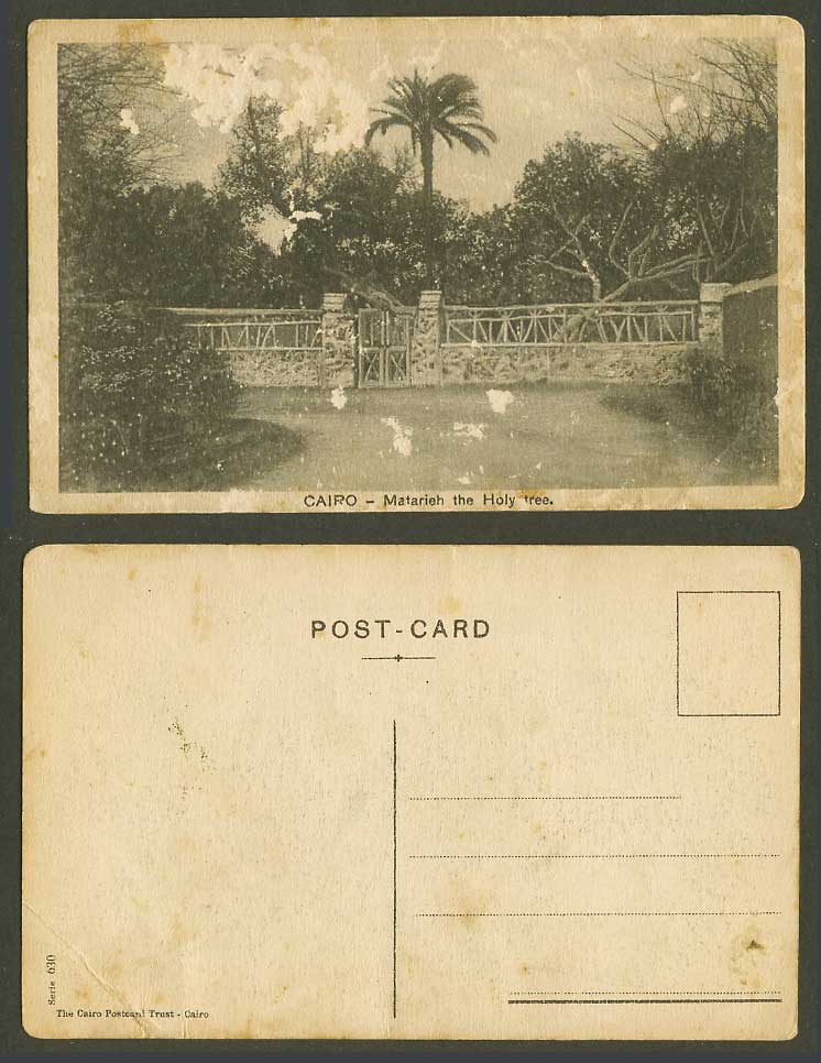 Egypt Old Postcard Cairo Le Caire Matarieh The Holy Tree Entrance Gate Palm Tree