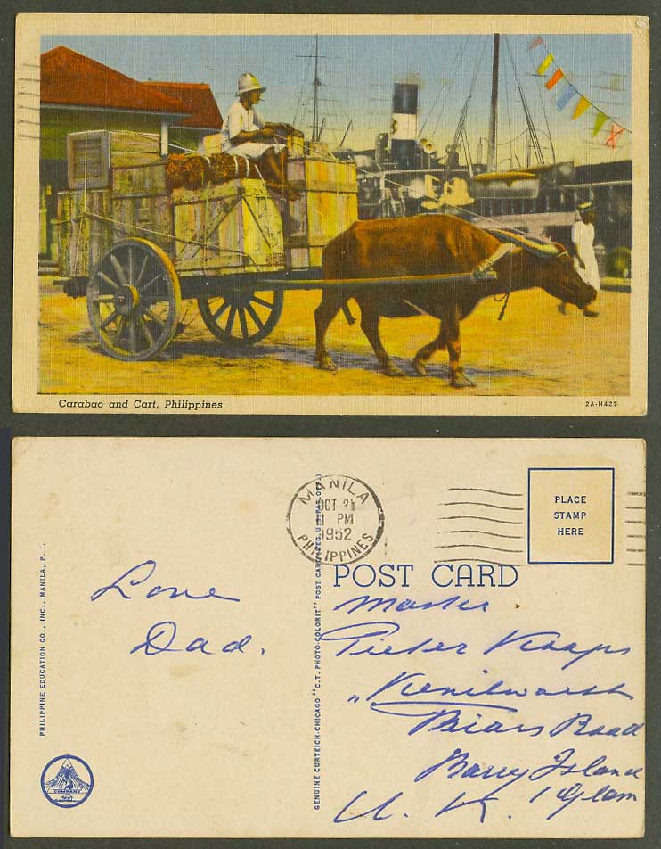 Philippines 1952 Old Colour Postcard Carabao and Cart, Water Buffalo Ship Street
