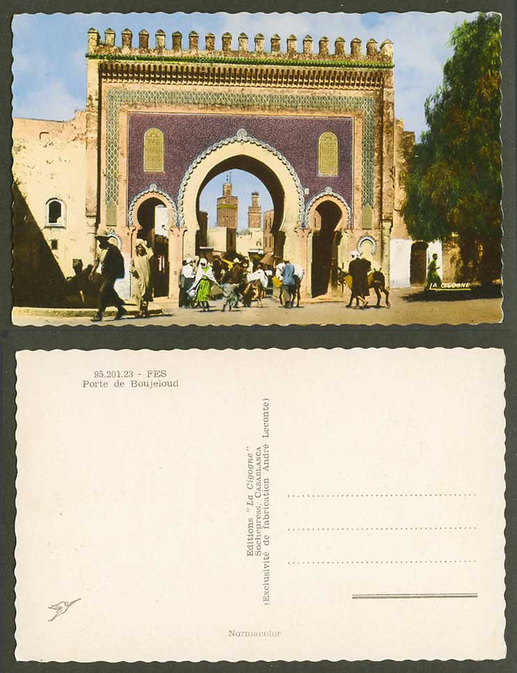 Morocco Old Colour Postcard FES Porte de Boujeloud Bou Jeloud Gate Street Donkey
