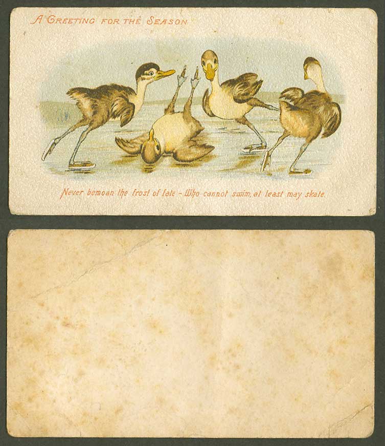 Ducks Ducklings Birds Old Card Never bemoan Frost of Fate, Can't Swim, May Skate