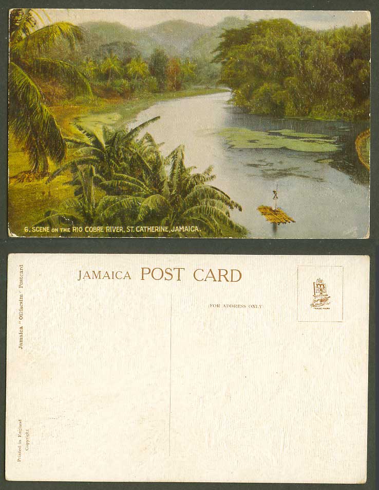 Jamaica Old Colour Postcard Raft Rio Cobre River Scene, St. Catherine Palm Trees