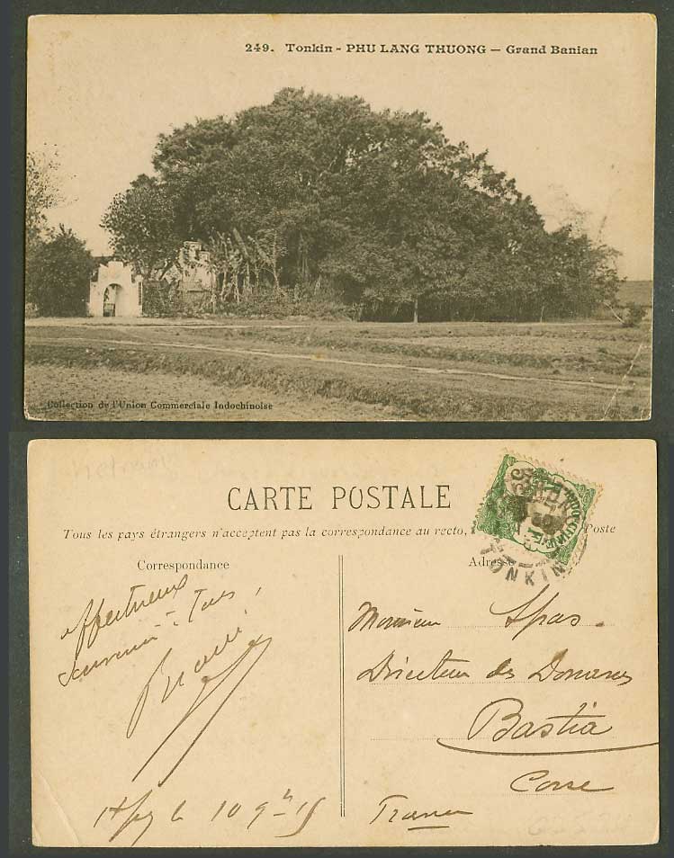 Indo-China 5c 1911 Old Postcard Tonkin Phu Lang Thuong, Grand Banian Banyan Tree