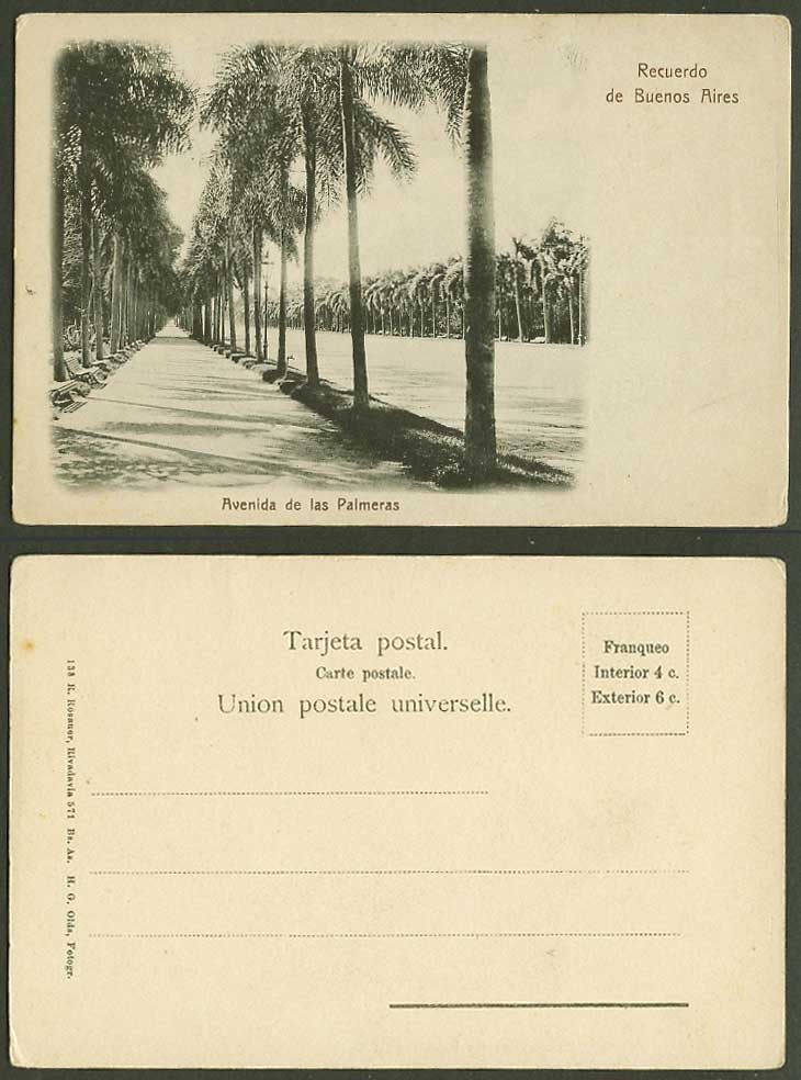 Argentina Old UB Postcard Buenos Aires Avenida de las Palmeras Palm Trees Avenue