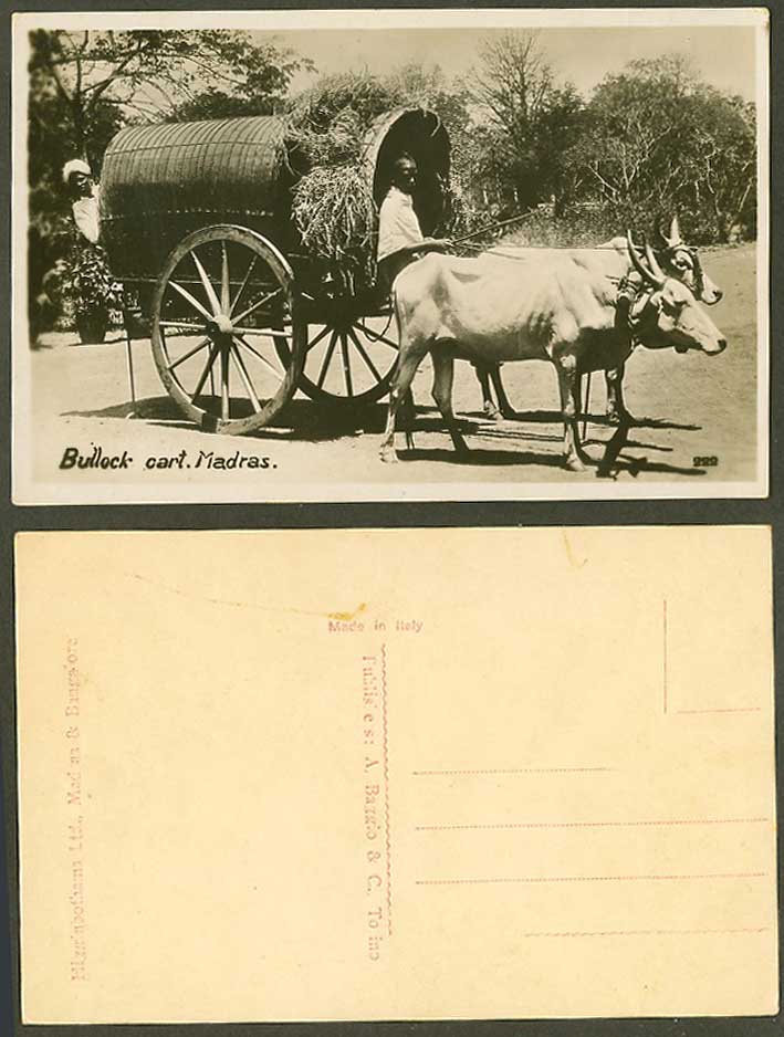 India Old Real Photo Postcard Madras Bullock Cart and Native Driver, Ethnic Life