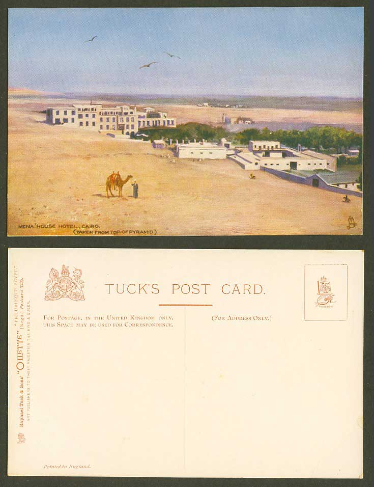 Egypt Old Tuck's Oilette Postcard MENA HOUSE HOTEL from Top of Pyramid Cairo ART