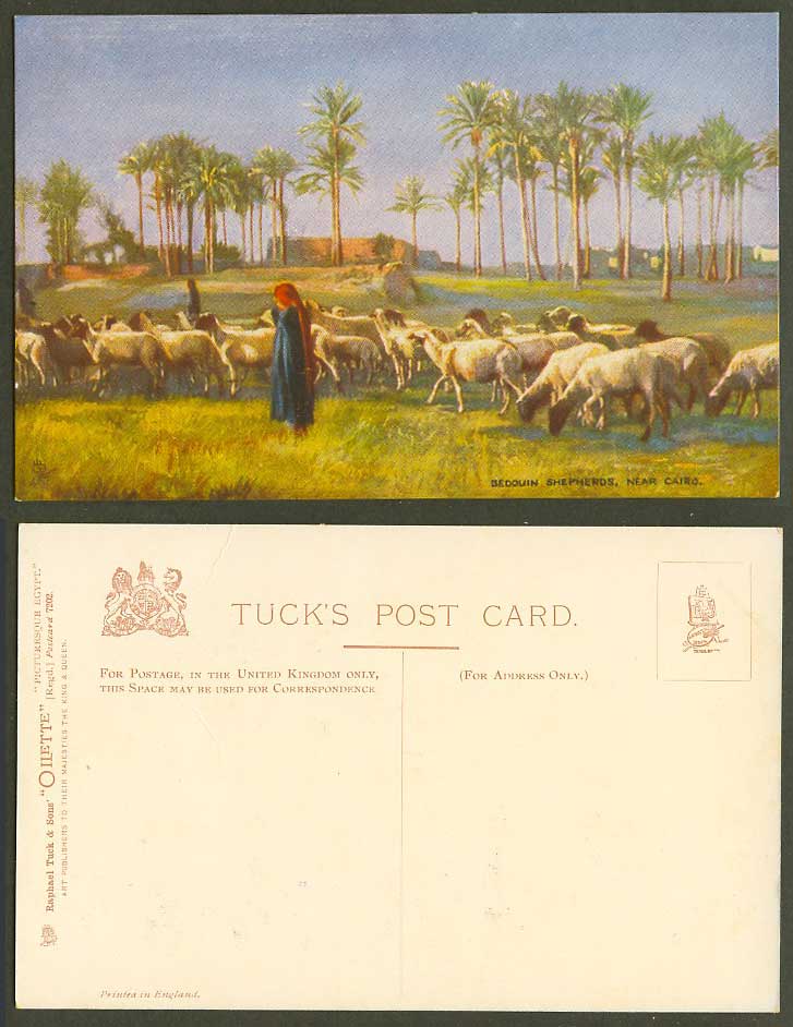 Egypt Old Tuck's Oilette Postcard SHEEP, Bedouin Shepherds near Cairo Palm Trees