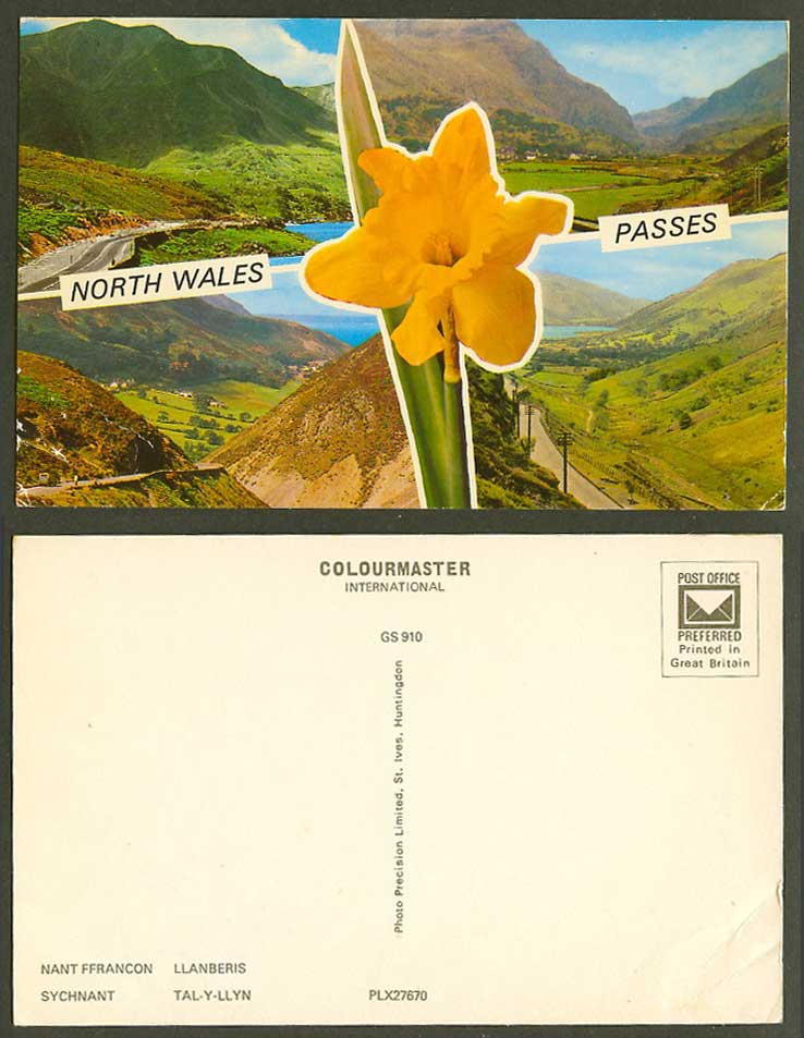North Wales Passes, Nant Ffrancon Llanberis Sychnant Tal-Y-Llyn, Flower Postcard
