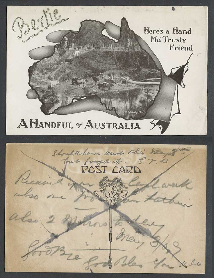 Australian 1909 Old Postcard A Handful of Australia MAP Cattle Cow A Shaddy Nook