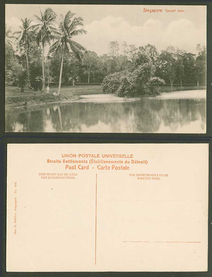Singapore Old Postcard Tyersall Lake Palm Trees Lake Men Panorama Max H. Hilckes