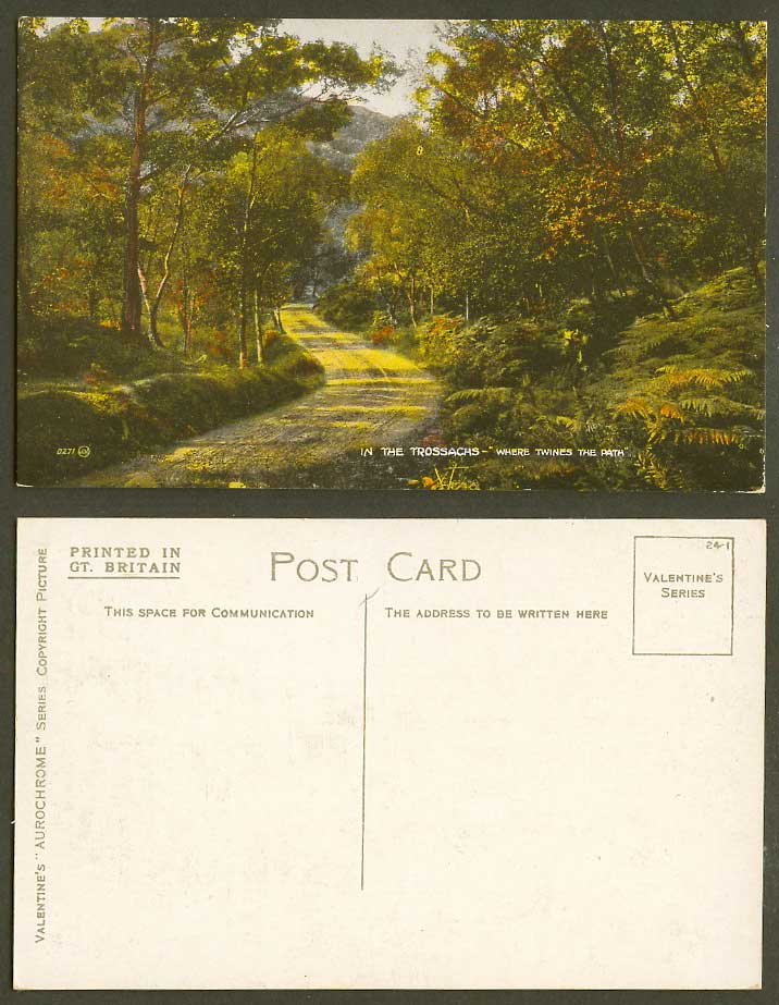 Scotland, In The Trossachs, Where Twines The Path, Stirling Old Colour Postcard