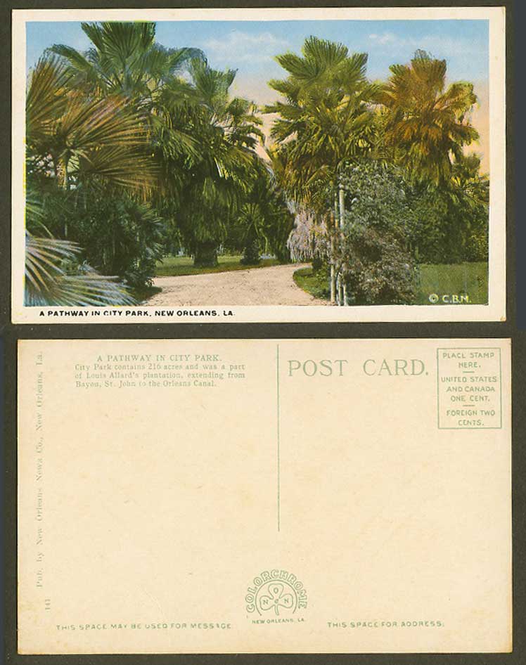USA Old Colour Postcard A Pathway in City Park New Orleans LA Palm Trees