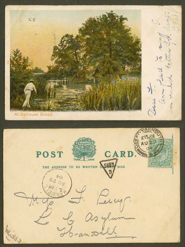 Norfolk, Angler Angling Fishing at Salhouse Broad 1904 Old Colour UB Postcard
