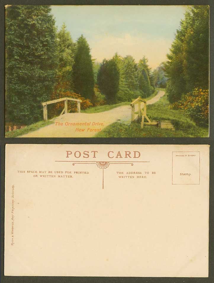New Forest Old Postcard The Ornamental Drive, Hampshire Bridge Road Street Scene