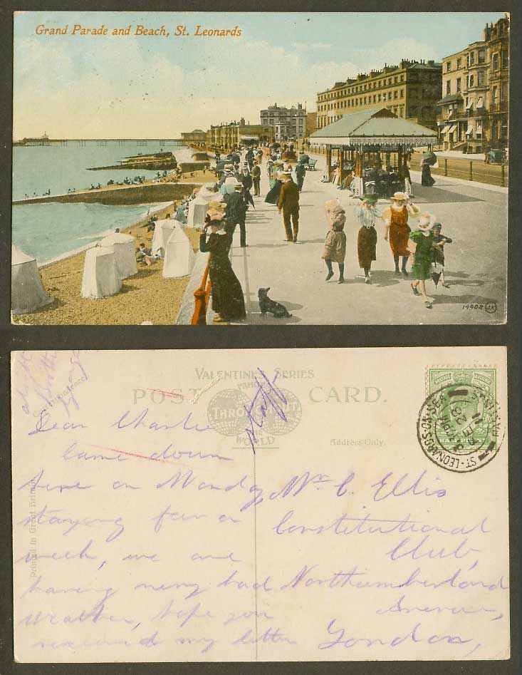 St. Leonards, Grand Parade and Beach, Sussex 1911 Old Colour Postcard Dog Puppy