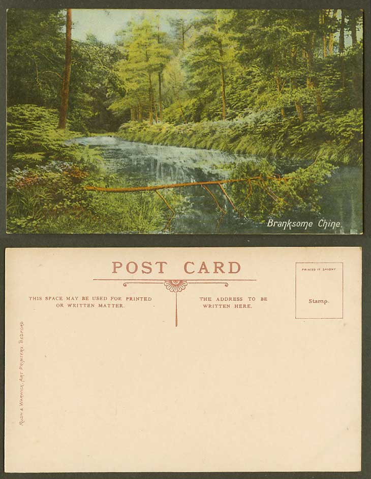 Bournemouth Dorset Old Colour Postcard Branksome Chine, River Scene and Trees