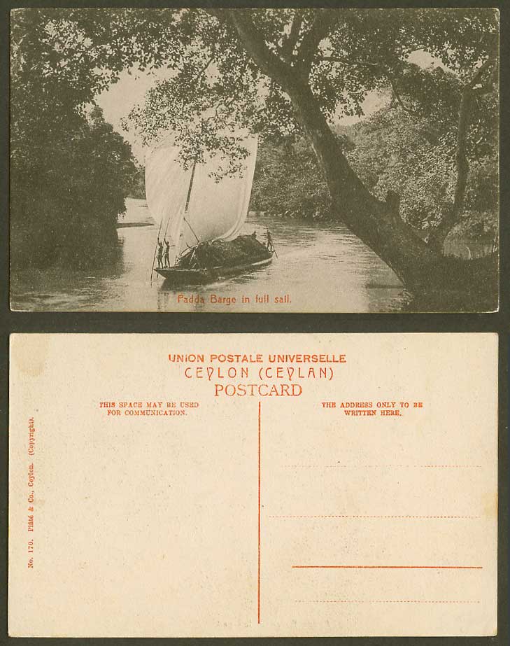Ceylon Old Postcard Padda Barge in Full Sail Native Sailing Boat River Scene 170