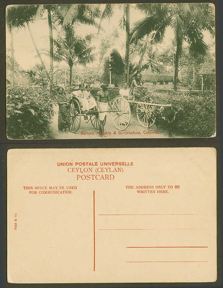 Ceylon Old Postcard Bullock Hackery & Ginrickshaw Rickshaw Coolies Girls Colombo