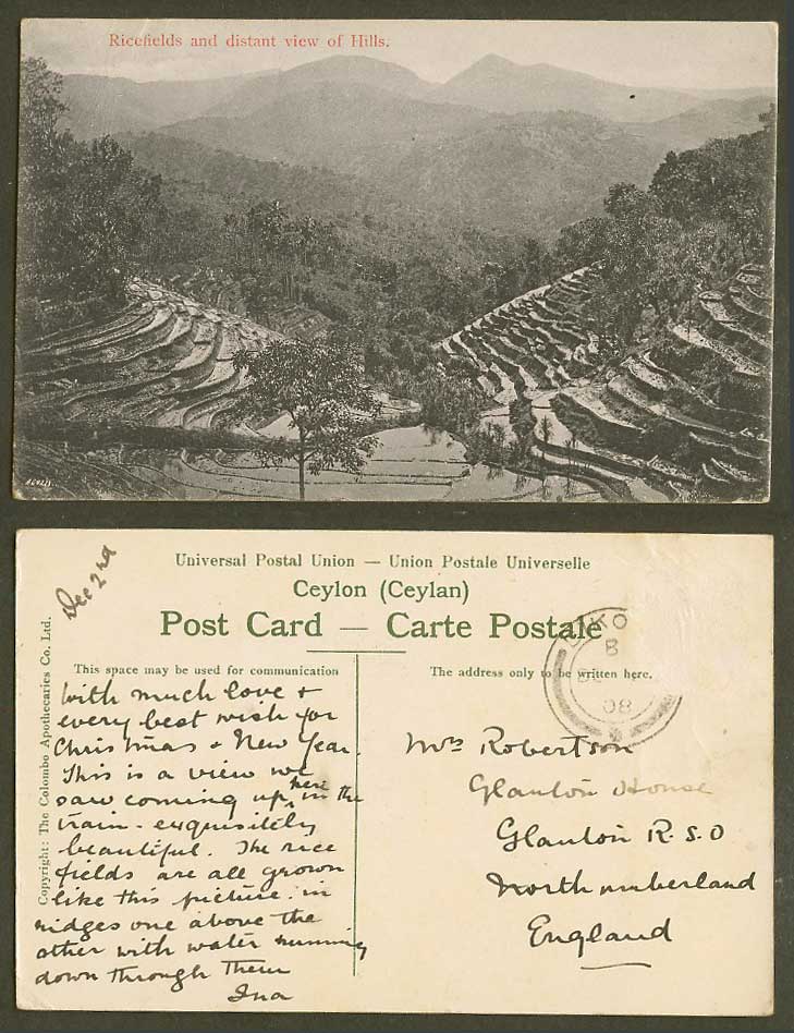 Ceylon 1908 Old Postcard Rice Field Ricefields & Distant View of Hills, Terraces