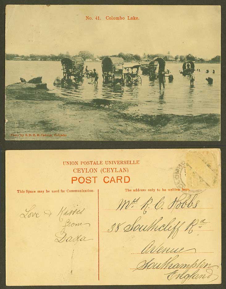 Ceylon Old Postcard Colombo Lake Bullock Carts Native Coolies Bathers Bathing 41