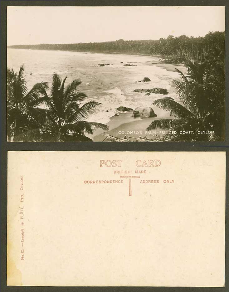 Ceylon Old Photo Postcard Colombo's Palm-Fringed Coast Beach Palm Trees, Colombo
