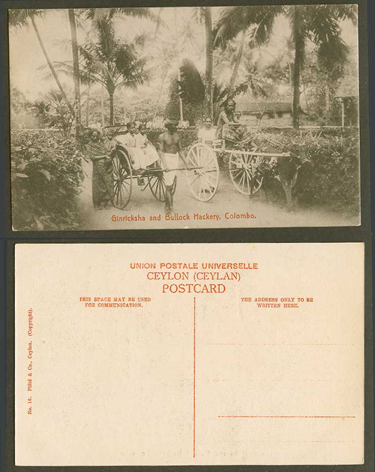 Ceylon Old Postcard Rickshaw Ginricksha & Bullock Hackery Colombo, Coolie Street