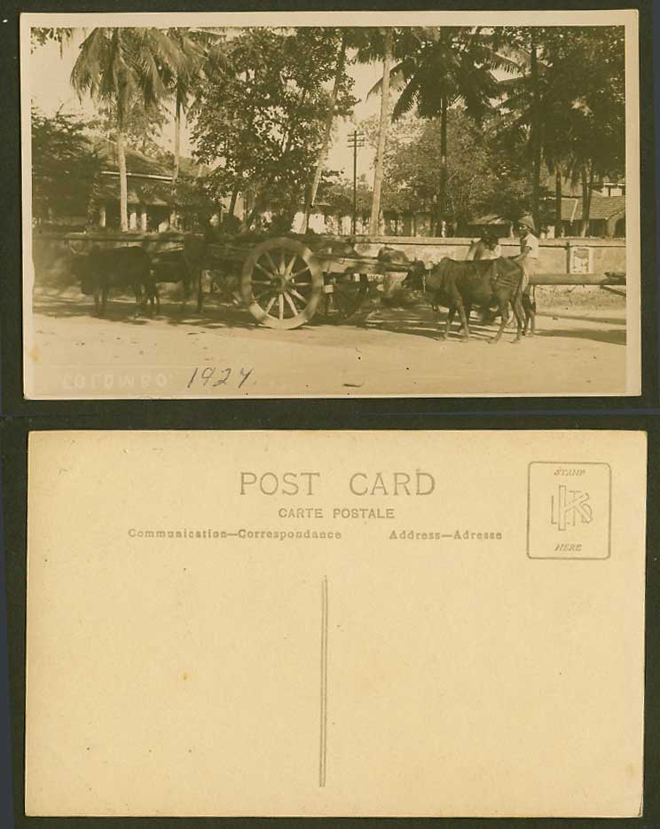 Ceylon 1924 Old Real Photo Postcard Colombo Native Bullock Cart Cattle Street