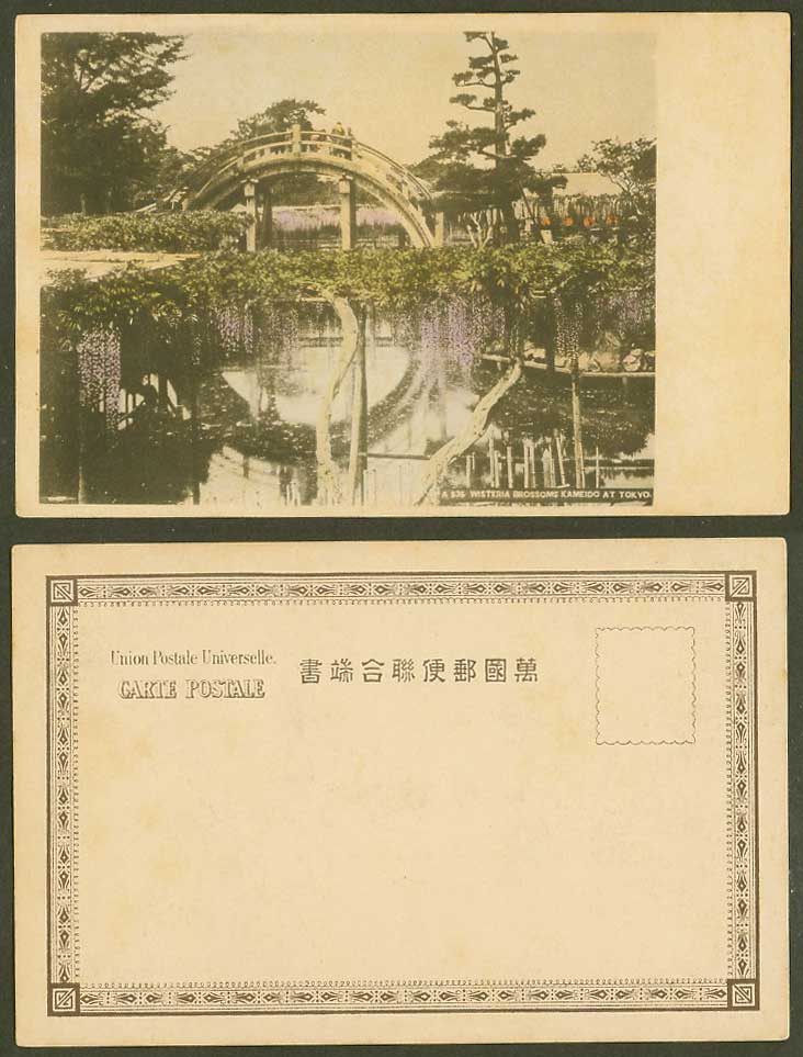 Japan Old Hand Tinted UB Postcard Wistaria Blossoms Tokyo Kameido Arch Bridge 紫藤